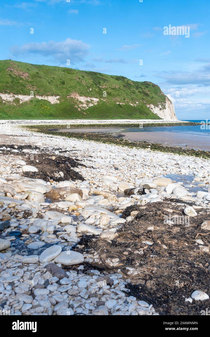 Vue de la plage à South Landing, Flamborough avec des galets blancs ou des rochers, East Riding of Yorkshire, Angleterre, Royaume-Uni Banque D'Images
