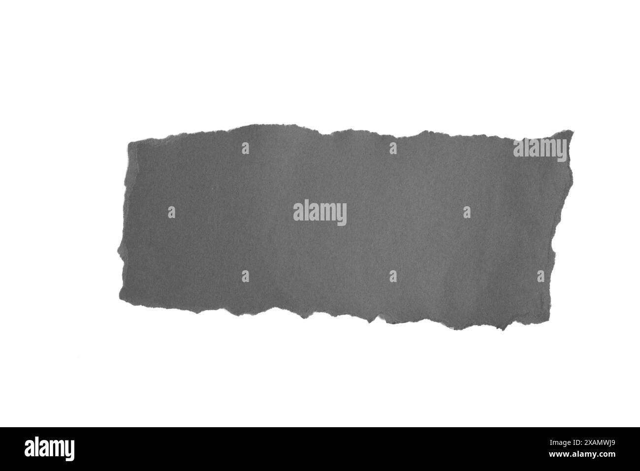 Morceau de papier gris froissé avec des bords déchirés isolé sur fond blanc. Espace pour le texte. Banque D'Images