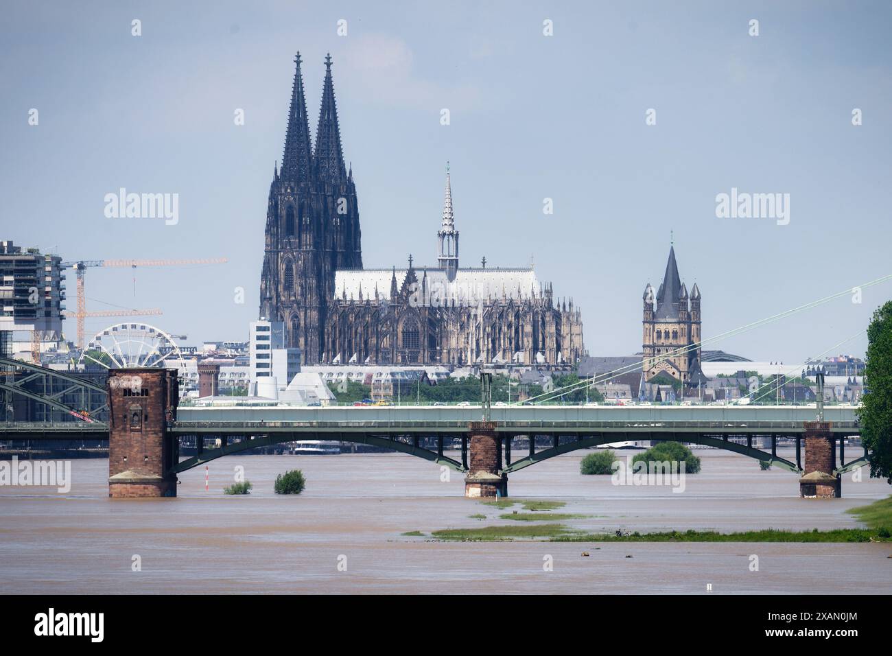 inondations estivales avec des berges inondées à cologne en juin 2024 Banque D'Images