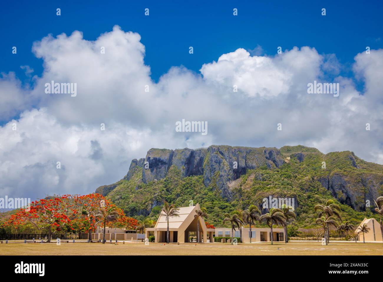 Un tulipe africain ou flammes, Spathodea Campanulata, dans un mémorial sous la falaise suicide à Marpi, Saipan, où des milliers de Japonais ont vendu Banque D'Images