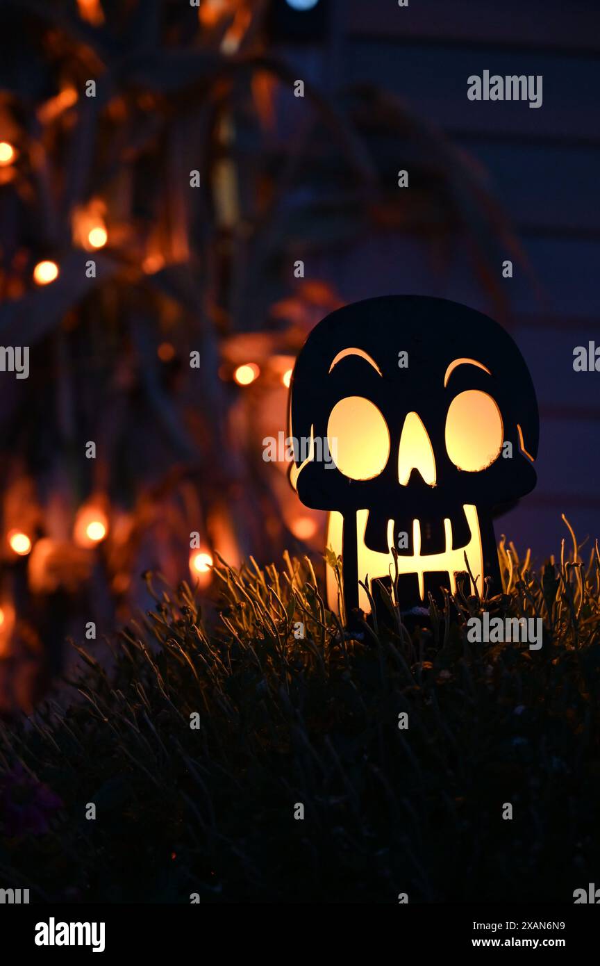 Décor crâne d'Halloween Banque D'Images