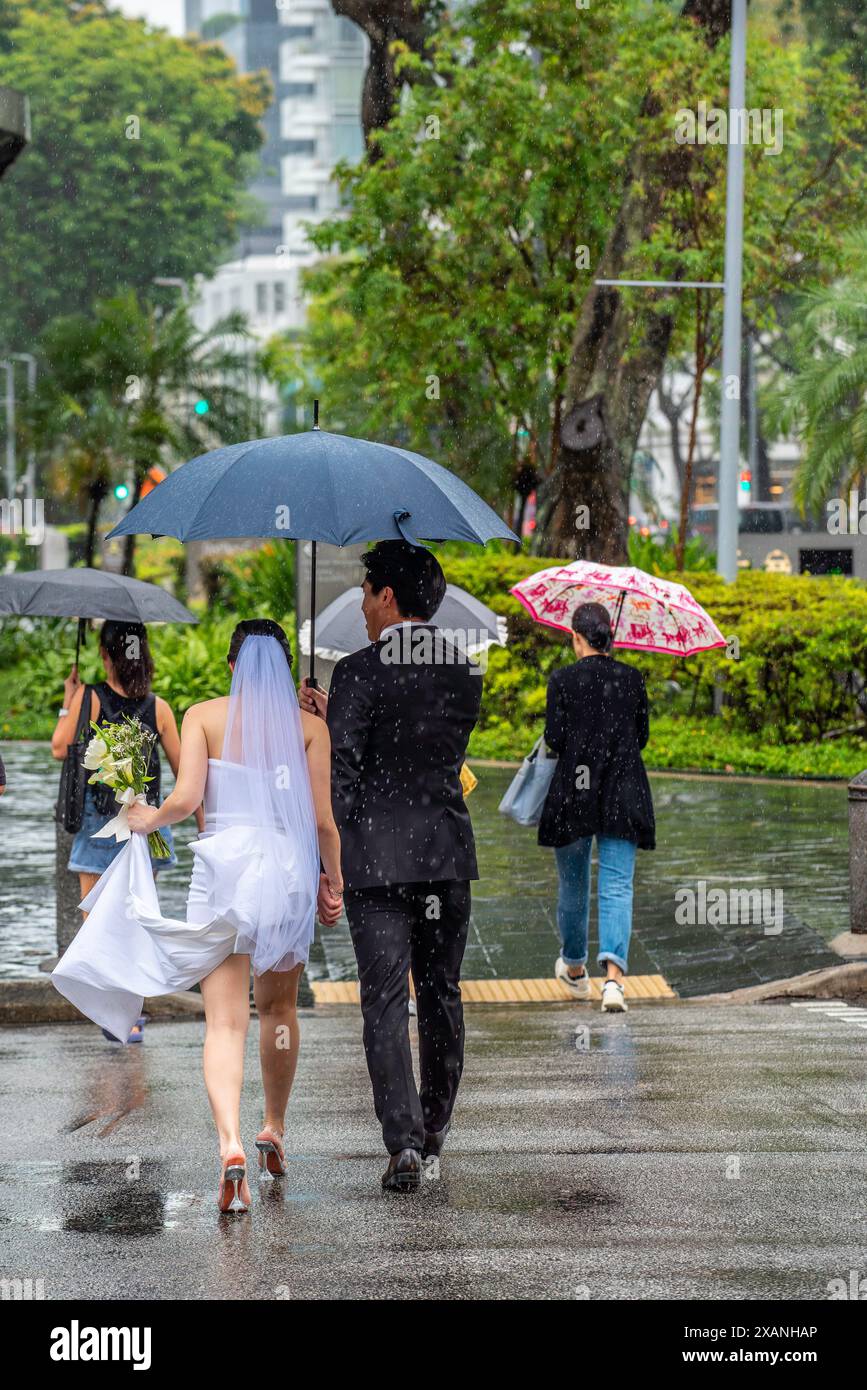 Une jeune mariée et mariée traversent bras Basah Road à Singapour sous un parapluie sous une pluie battante en direction du centre commercial Raffles City Banque D'Images