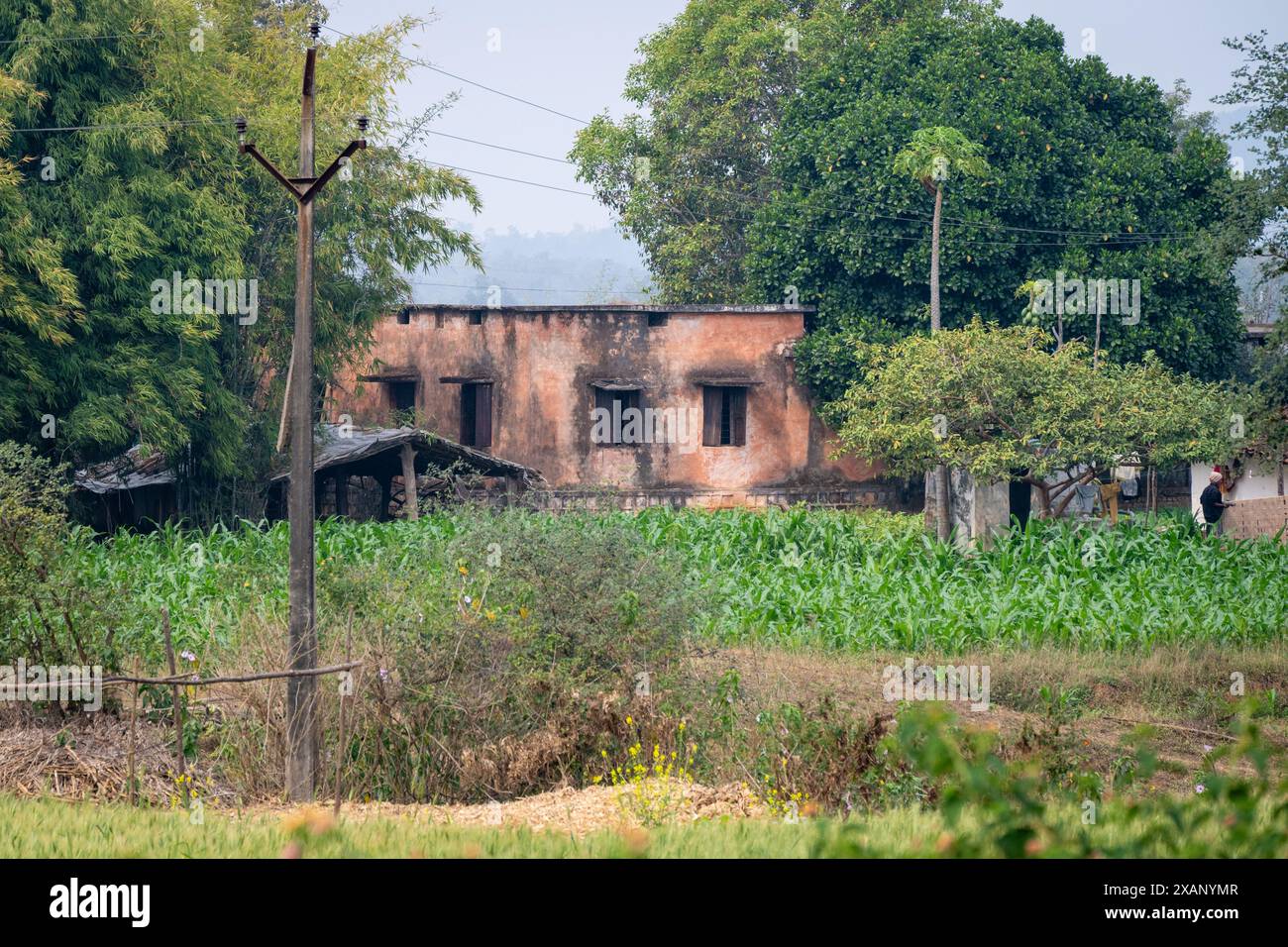 Village agricole rural, Madhya Pradesh, Inde Banque D'Images