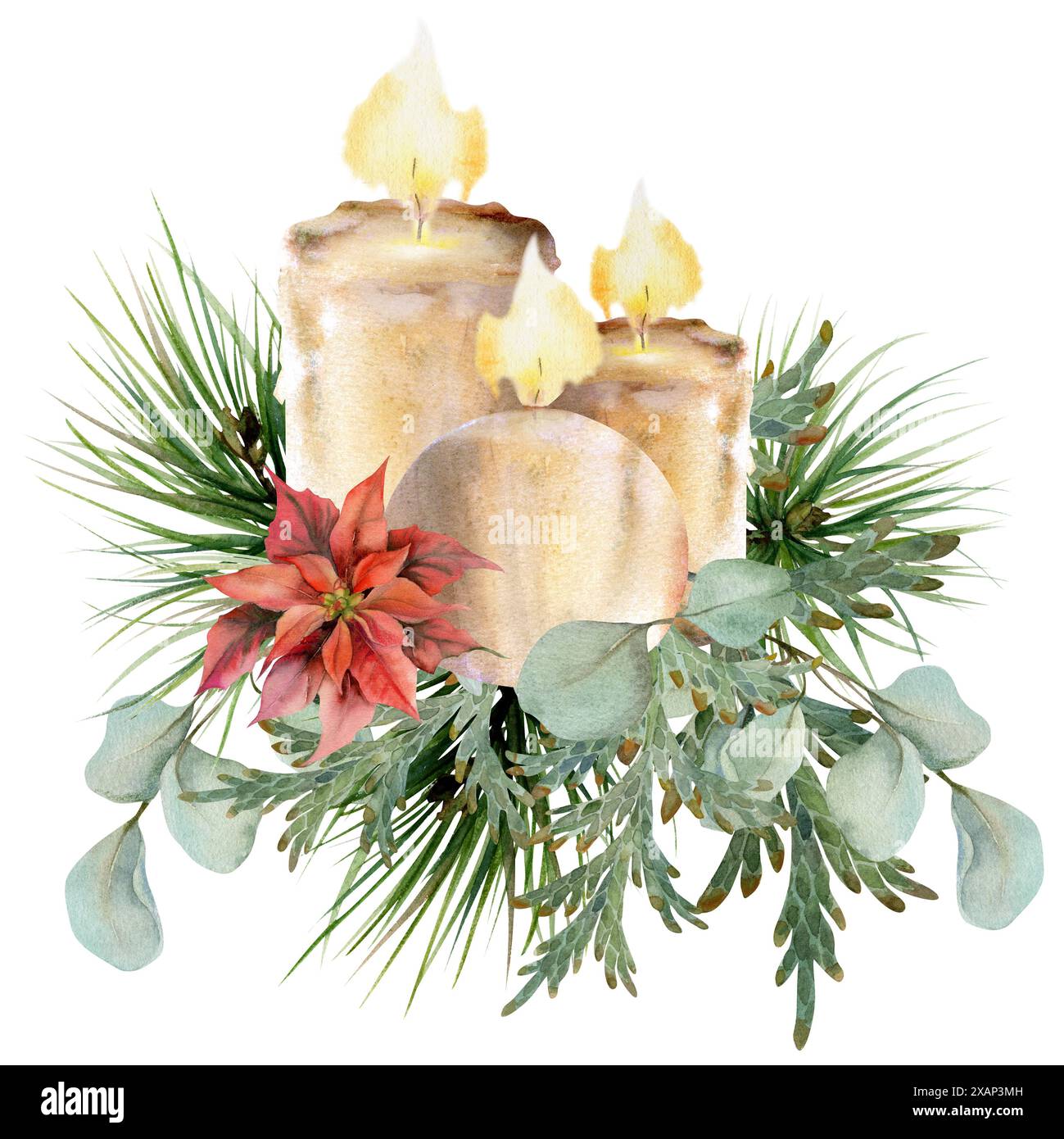 Bougies avec sapin de pin, poinsettia, branches d'eucalyptus illustration dessinée à l'aquarelle à la main, composition isolée sur blanc. Noël, bonne année Banque D'Images