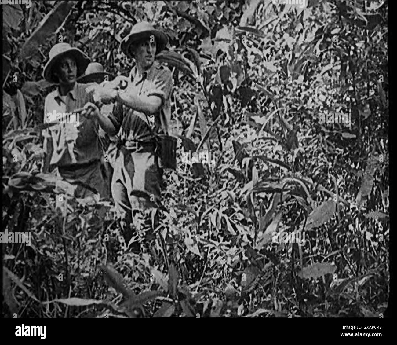 Deux femmes civiles portant une tenue d'explorateurs observant la nature dans la jungle, années 1920 De "Time to Remember - Teenage Flapper", années 1920 (Reel 4) ; un dcumentaire sur la vie des femmes dans les années 1920 - grand commentaire de Joyce Grenfell. Banque D'Images