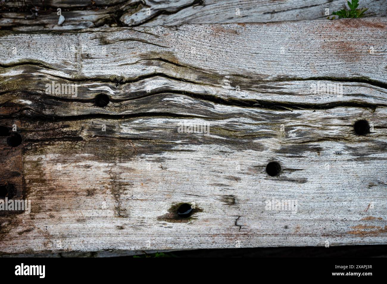 texture de bois vieilli, ancienne infrastructure ferroviaire Banque D'Images