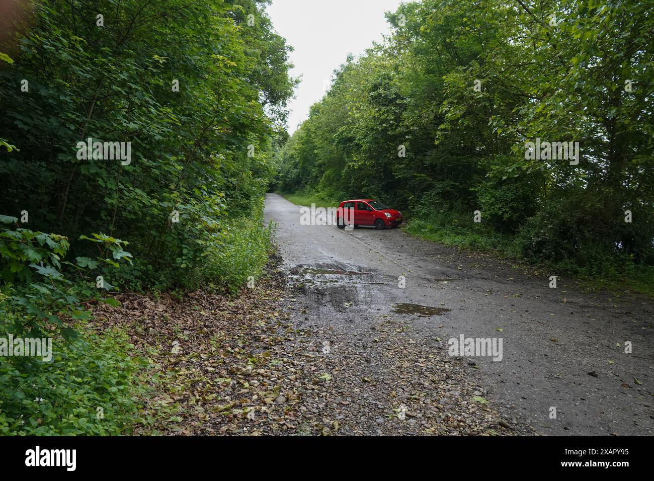 Petite voiture garée sur le bord d'une route forestière, pays-Bas Banque D'Images