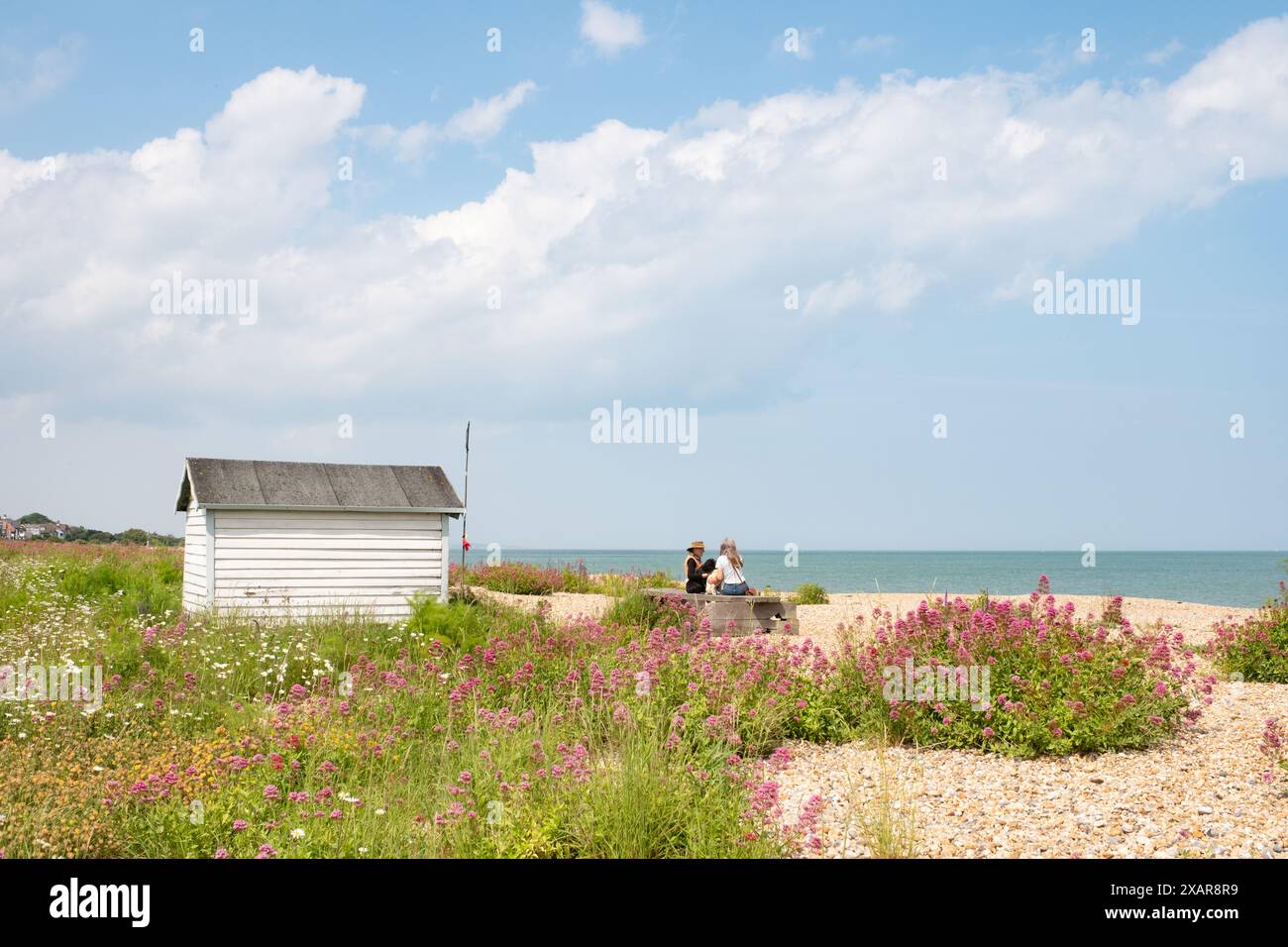 Beach Hut, Kingsdown Beach, Deal, Kent - été 2024 Banque D'Images