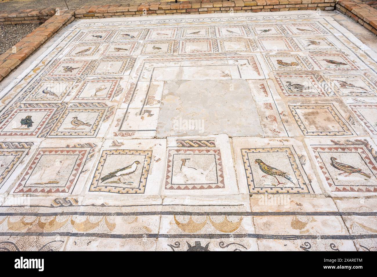 Italica, maison d'oiseaux, ancienne ville romaine, 206 av. J.-C., Andalousie, Espagne. Banque D'Images