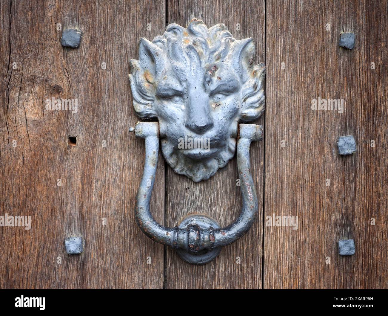 Antique Lion porte Knocker sur une porte en bois cloutée Banque D'Images