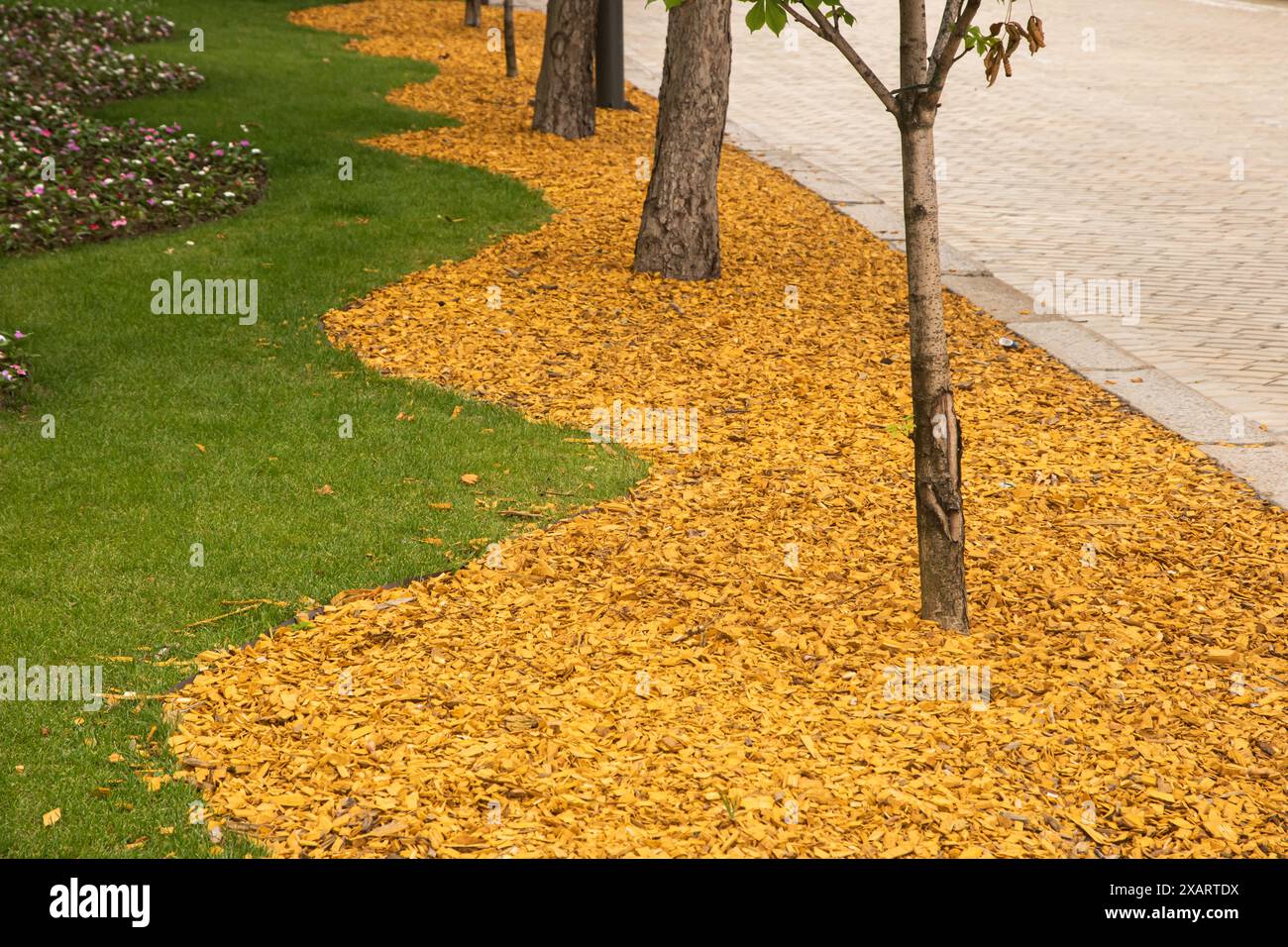 Partie du parc de la ville à côté de la rue pavée Banque D'Images