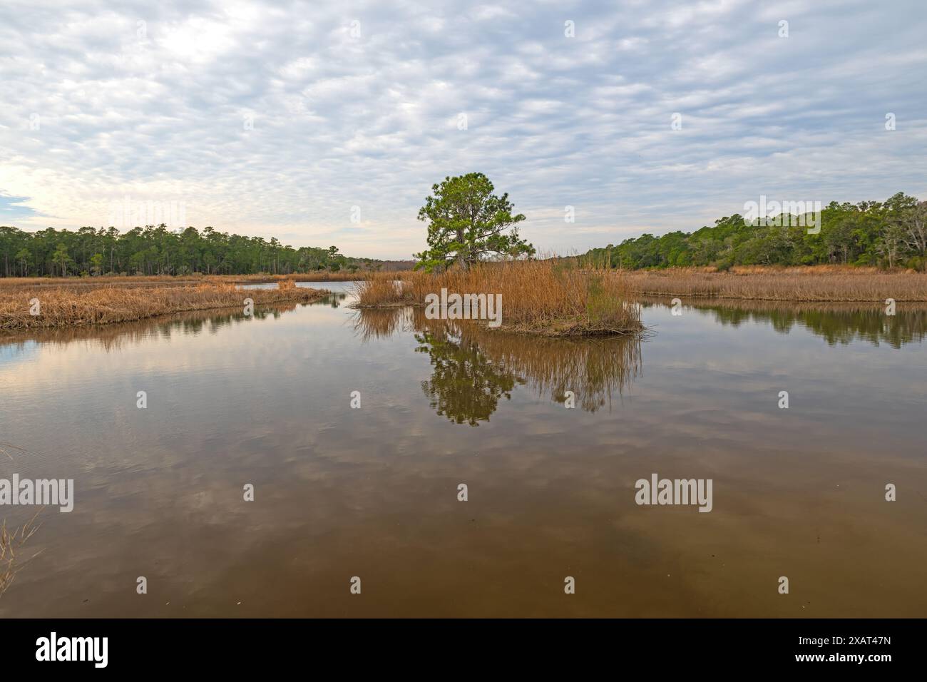 Réflexions nuageuses dans l'étang Wildlife refuge dans la réserve côtière de Santee en Caroline du Sud Banque D'Images