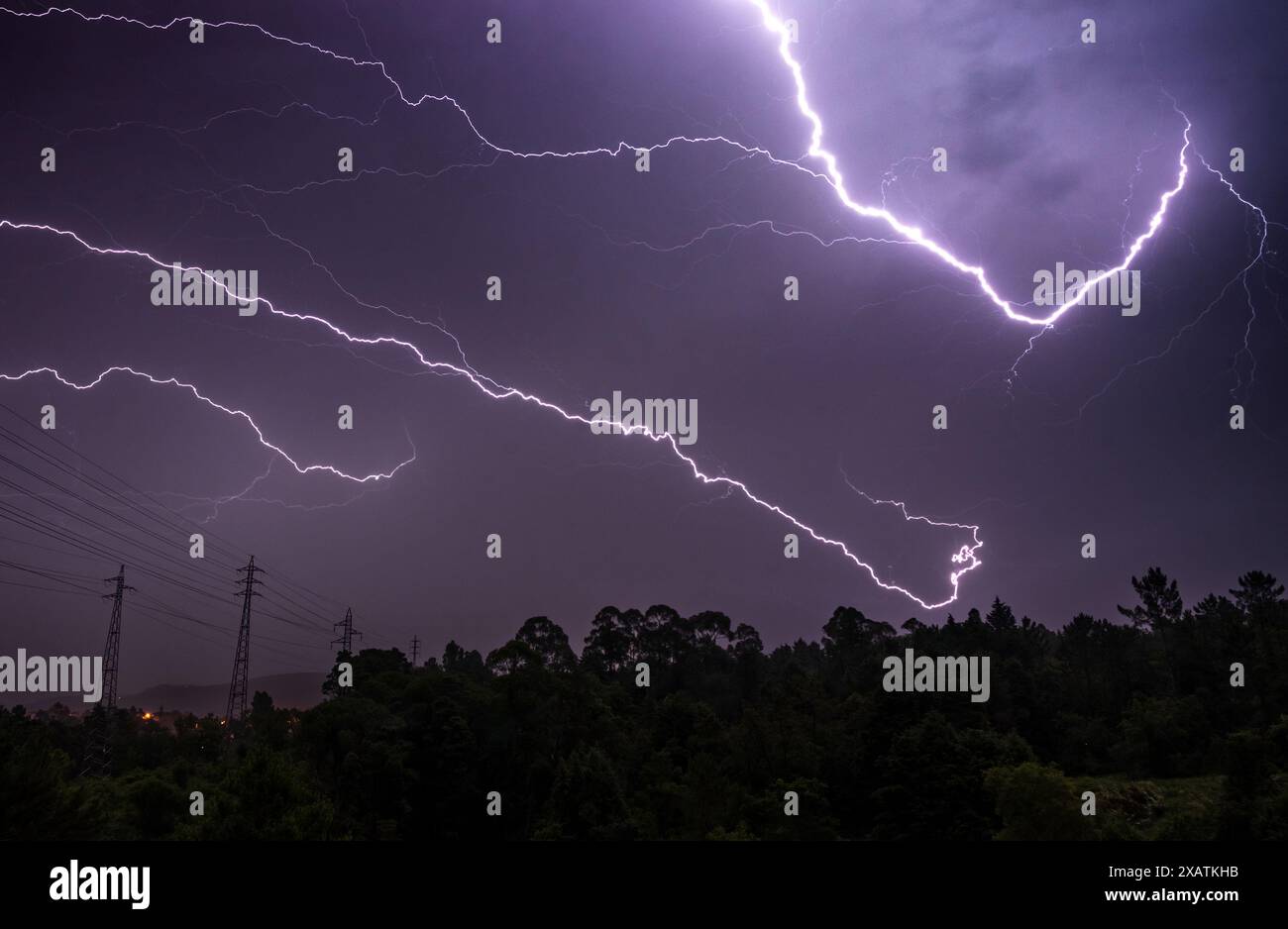 Orage nocturne avec plusieurs rayons dans le ciel au-dessus de la ligne des arbres à l'horizon. Banque D'Images