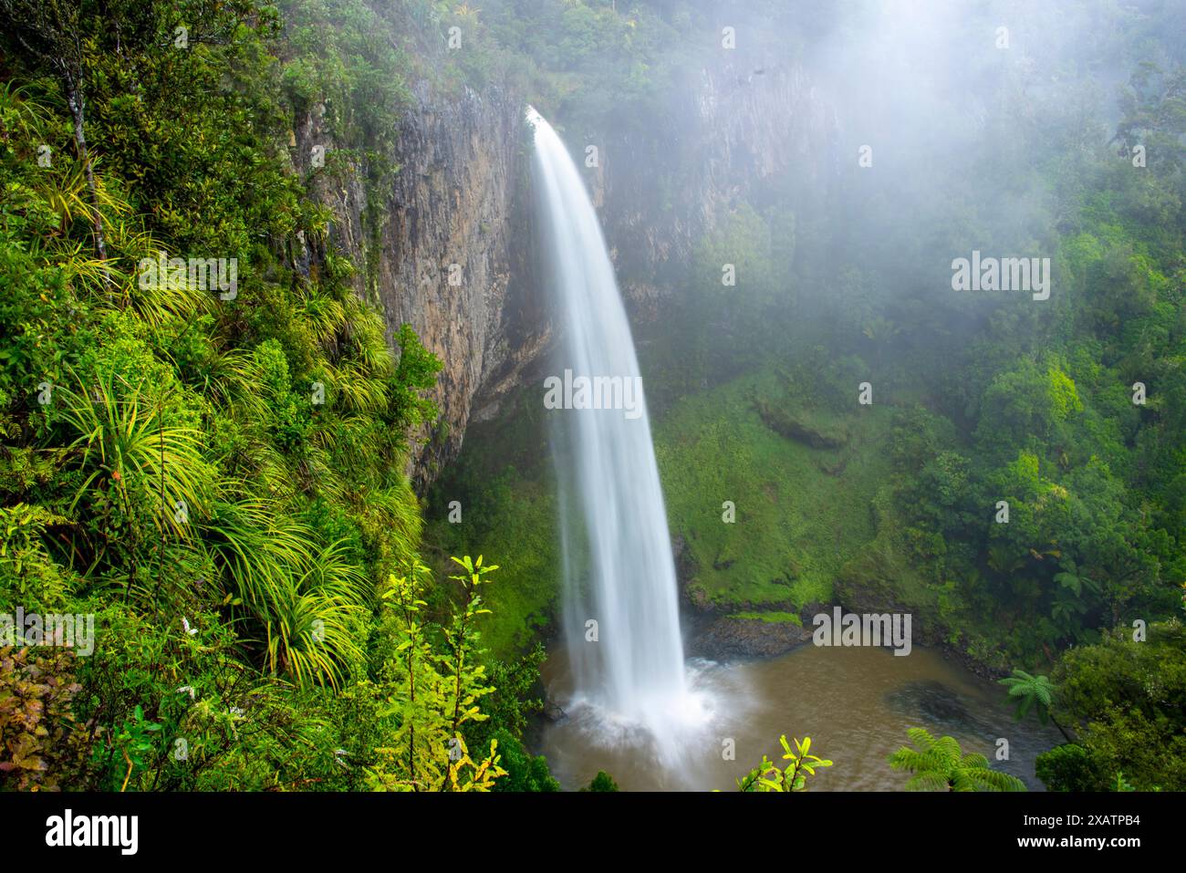 Bridal Veil Falls - Nouvelle-Zélande Banque D'Images