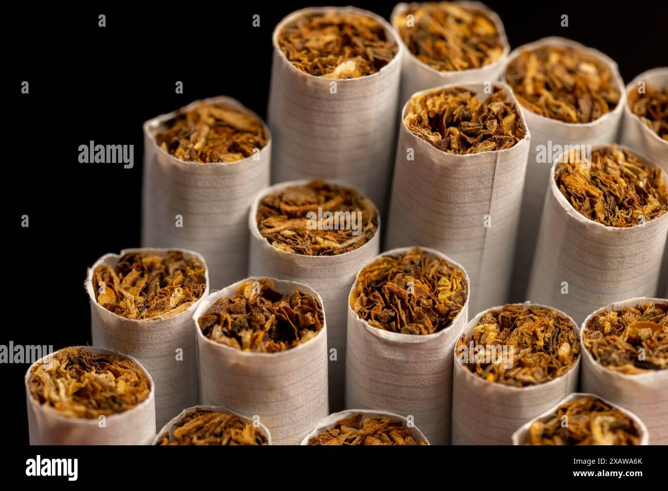 feuille de tabac finement broyée utilisée dans la fabrication de cigarettes, dangereuse pour la santé feuilles de tabac à fumer dans une cigarette Banque D'Images