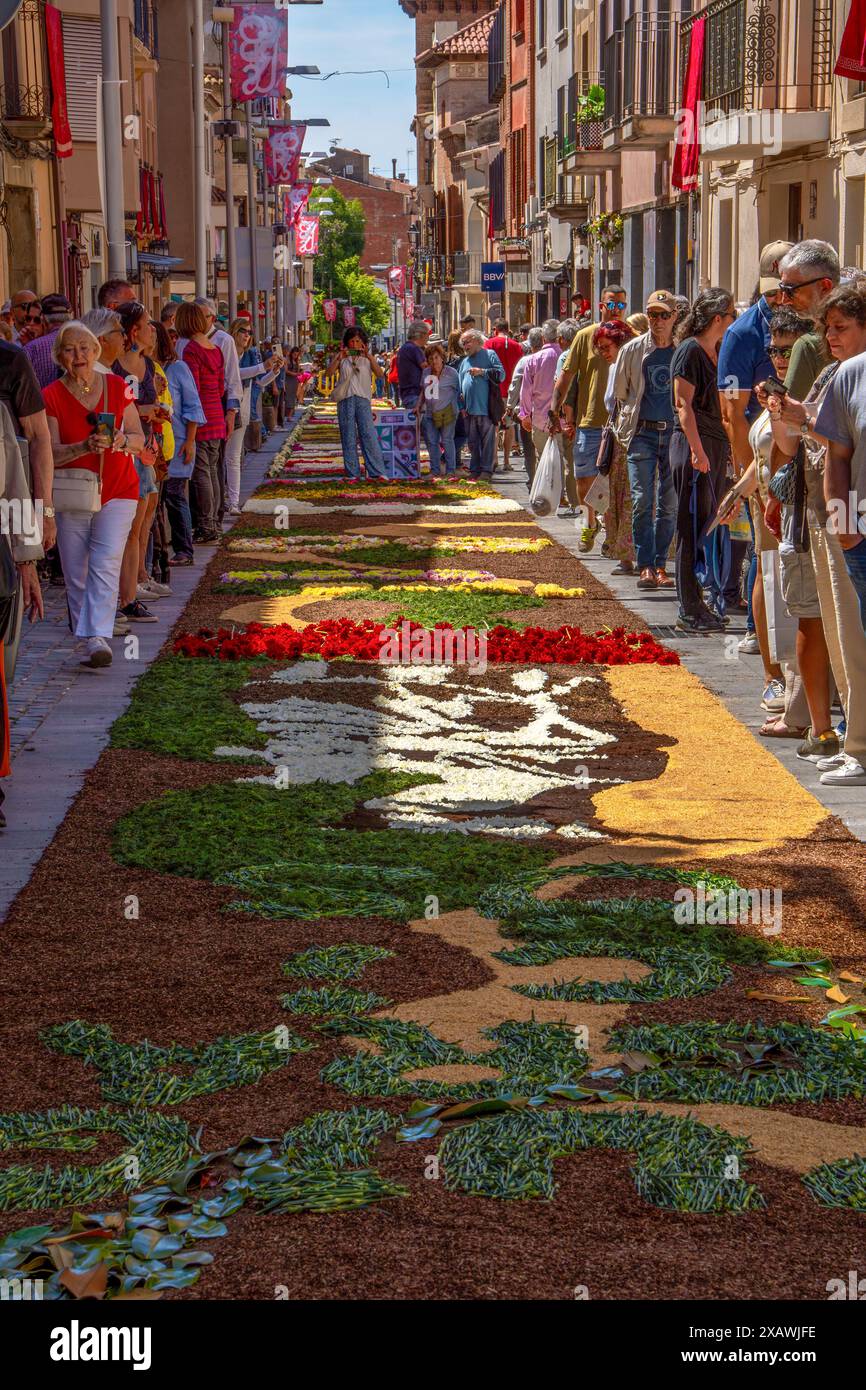 Les gens marchent et prennent des photos dans une rue décorée d'un dossier de fleurs pendant le populaire et célèbre festival Corpus Christi dans le Garriga o Banque D'Images