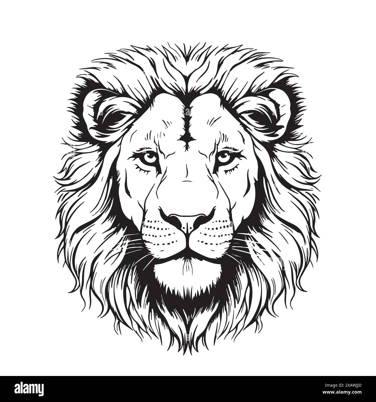 Lion. Portrait schématique, graphique, noir et blanc d'une tête de lion sur fond blanc. Illustration de Vecteur