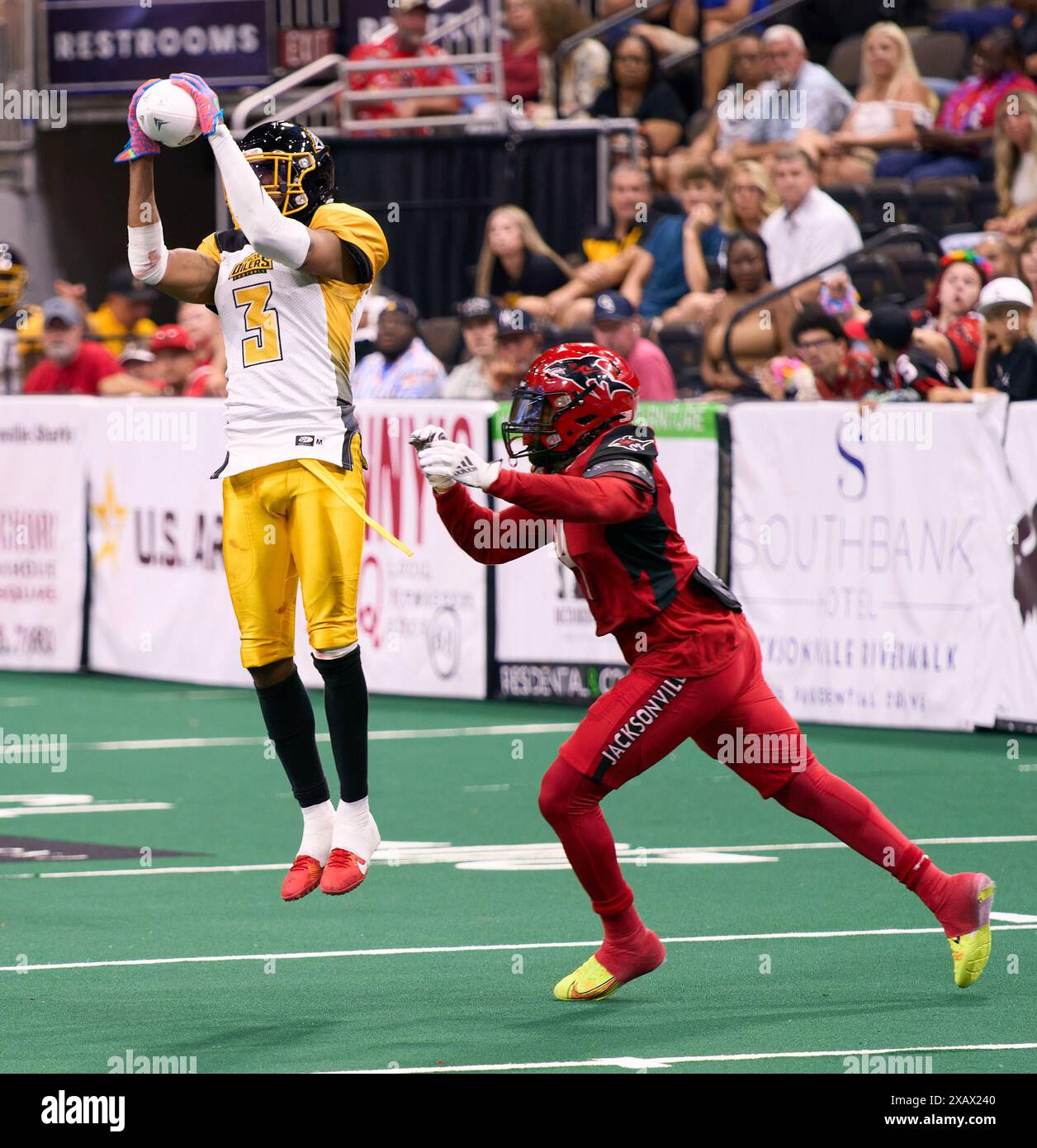 Jacksonville, Floride, États-Unis. 8 juin 2024. Ligue de football en salle, Jacksonville Sharks vs Tulsa Oilers. Oilers WR Jonathan Nance (3) attrape le col, mais Sharks DB Richie Coffey est là pour limiter la distance supplémentaire. Crédit photo : Tim Davis/Alamy Live News Banque D'Images