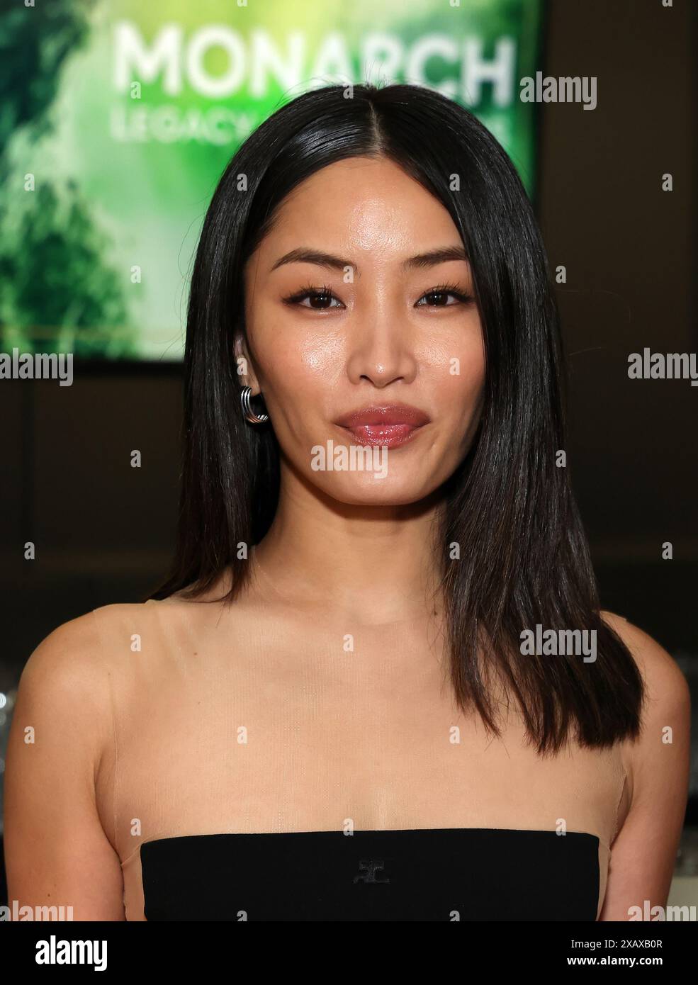 North Hollywood, CA. 08 juin 2024. Anna Sawai à l'événement Monarch : Legacy of Monsters FYC d'Apple TV au Wolf Theater de la Television Academy le 8 juin 2024 à North Hollywood, Californie. Crédit : Faye Sadou/Media Punch/Alamy Live News Banque D'Images