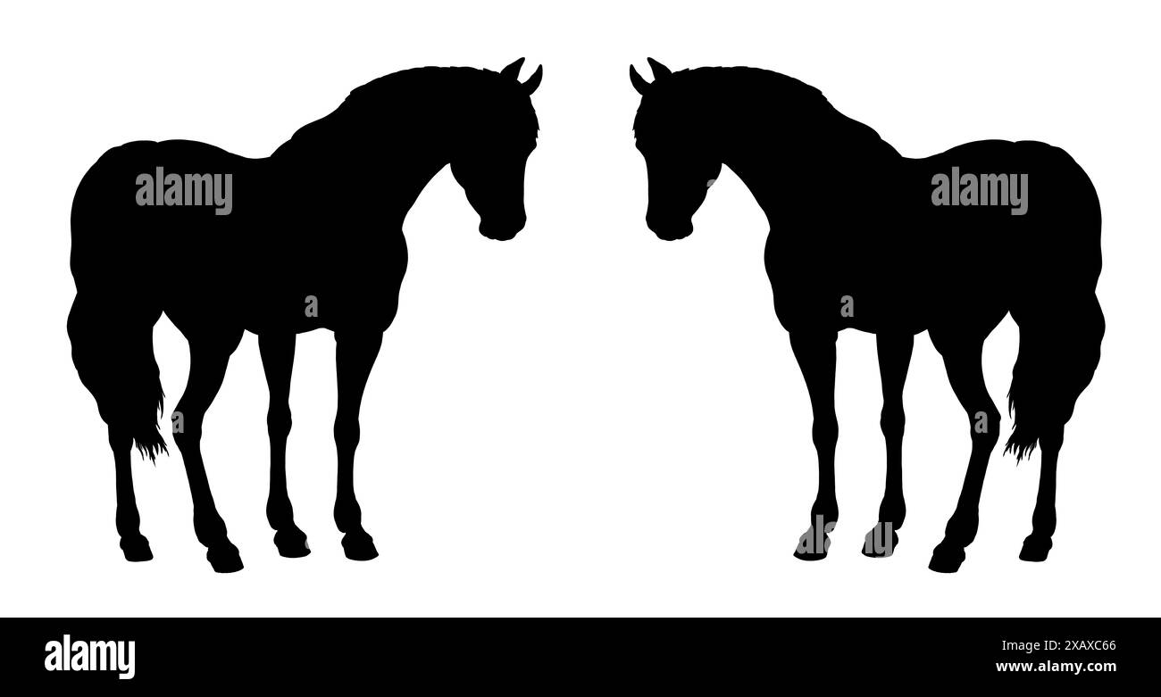 Silhouette noire de beau cheval. Dessin équin. Jeu de chevaux. Banque D'Images