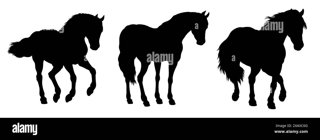 Silhouette noire de beau cheval. Dessin équin. Jeu de chevaux. Banque D'Images