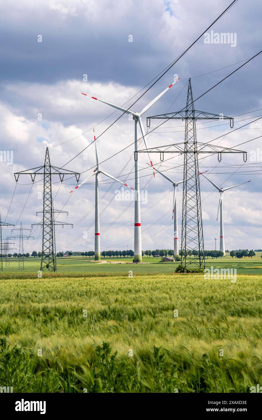 Windpark nordöstlich von Marsberg, Hochsauerlandkreis, Hochspannungstrasse, Strommasten, NRW, Deutschland, Windpark Freileitungen *** Parc éolien au nord-est de Marsberg, Hochsauerlandkreis, ligne à haute tension, pylônes électriques, NRW, Allemagne, lignes aériennes des parcs éoliens Banque D'Images