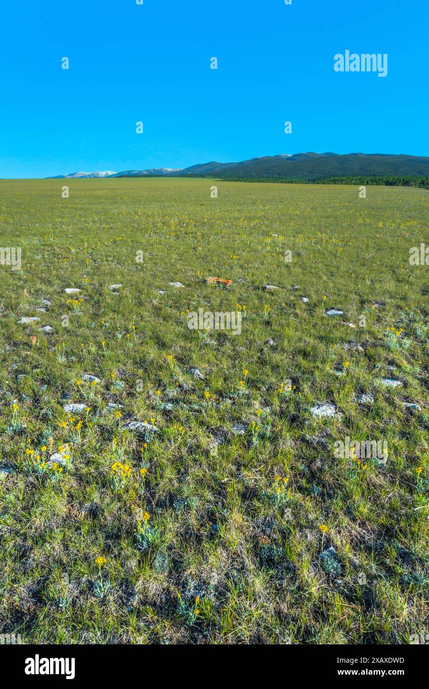 anneau de tipi sur la prairie sous les grandes montagnes enneigées près de judith gap, montana Banque D'Images