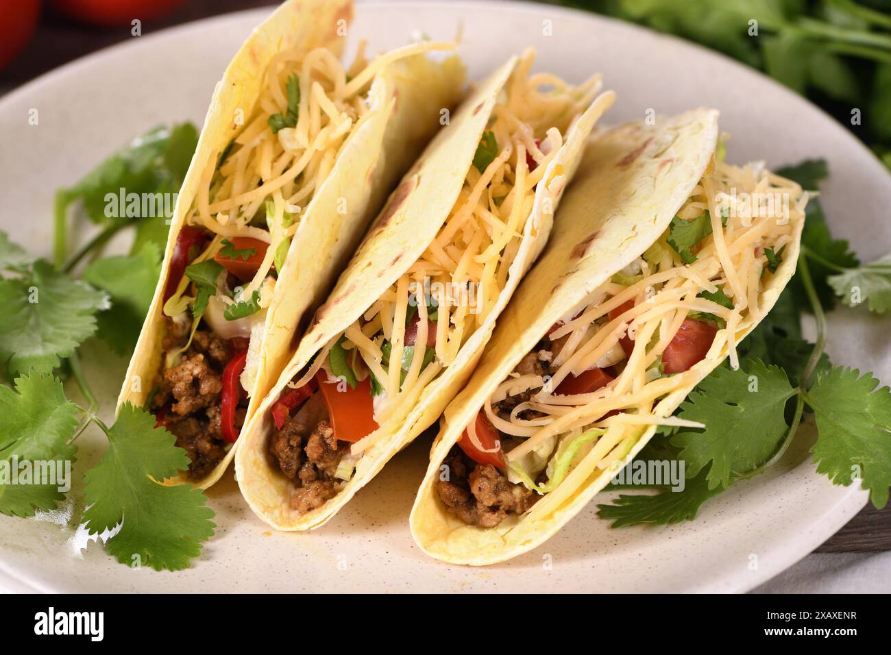 Taco avec boeuf haché et avocat, chou et fromage. Cuisine mexicaine. Banque D'Images