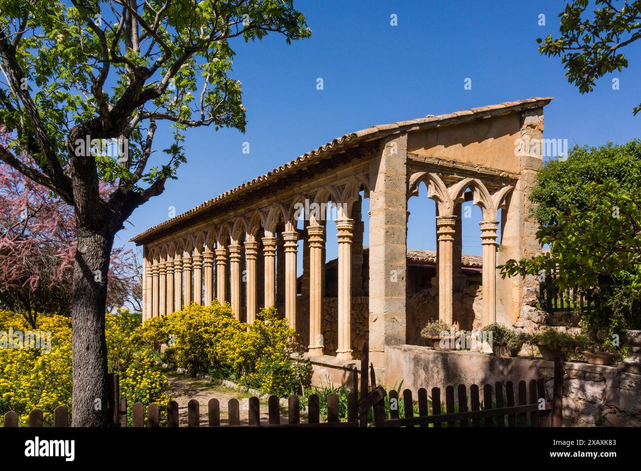 Monastère Miramar, arches gothiques du 13ème siècle de l'ancien couvent de Santa Margalida à Palma, Valldemossa, Sierra de Tramuntana, Majorque, Espagne. Banque D'Images