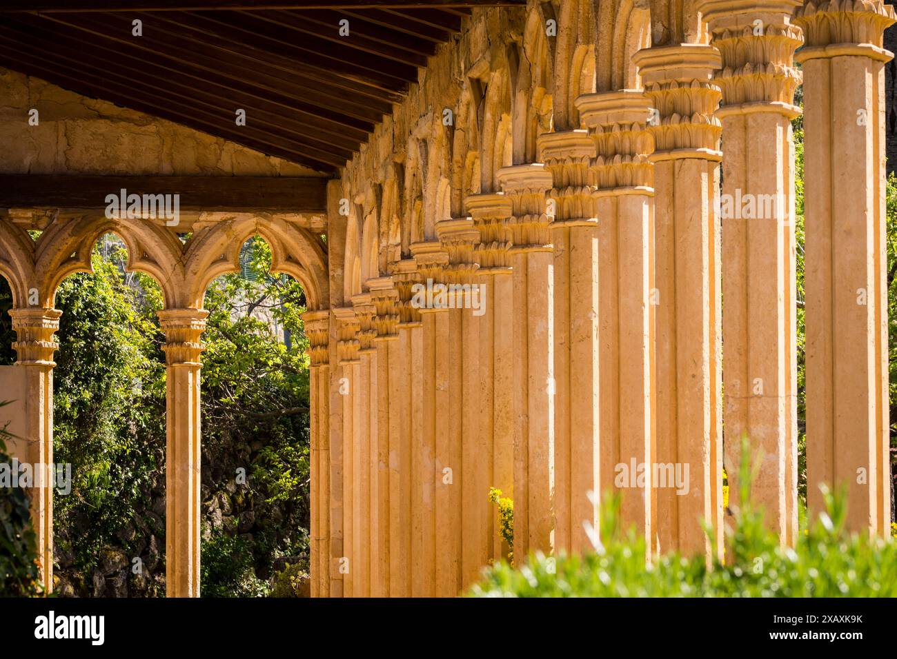 Monastère Miramar, arches gothiques du 13ème siècle de l'ancien couvent de Santa Margalida à Palma, Valldemossa, Sierra de Tramuntana, Majorque, Espagne. Banque D'Images