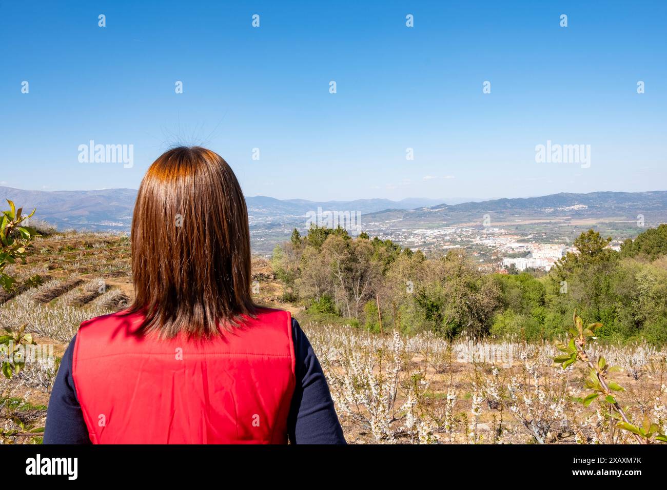 Femme en manteau rouge vue de derrière regardant le paysage de fleurs de cerisier. Fundão, Castelo Branco, Portugal Banque D'Images