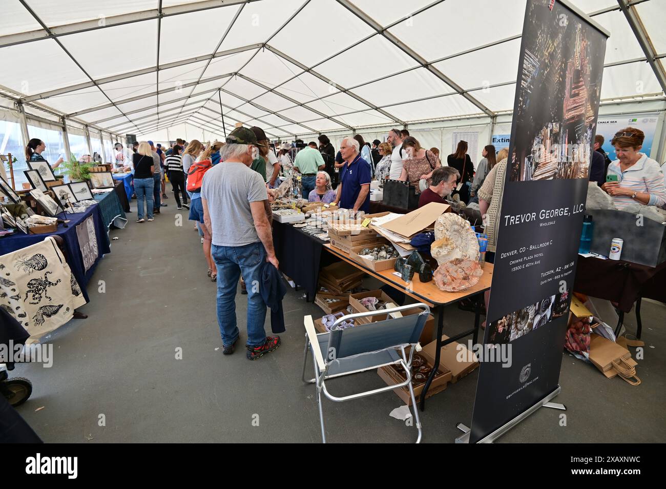 Devon, Royaume-Uni. 09 juin 2024. Les touristes et les visiteurs regardent des fossiles dans les ateliers Palaeoart dans les jardins Lister à Lyme Regis East Devon. Crédit photo : Robert Timoney/Alamy Live News Banque D'Images