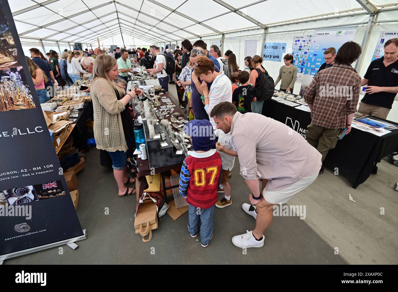 Devon, Royaume-Uni. 09 juin 2024. Les touristes et les visiteurs regardent des fossiles dans les ateliers Palaeoart dans les jardins Lister à Lyme Regis East Devon. Crédit photo : Robert Timoney/Alamy Live News Banque D'Images