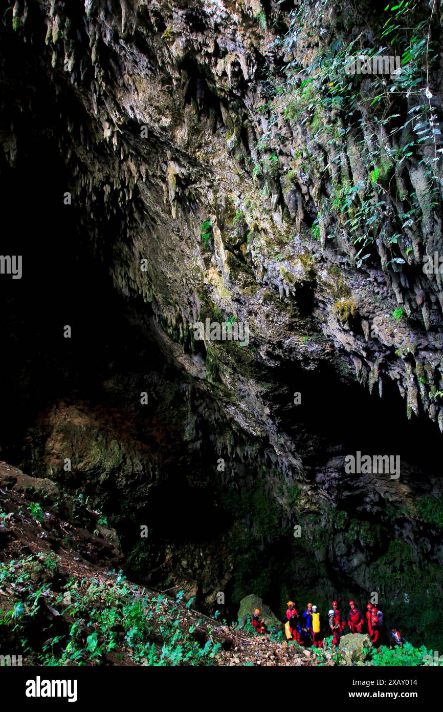 Une vue d'ornementation couverte de mousse verte à l'embouchure de la grotte Gilap Karst Gunungsewu. Généralement appelé la zone crépusculaire Banque D'Images