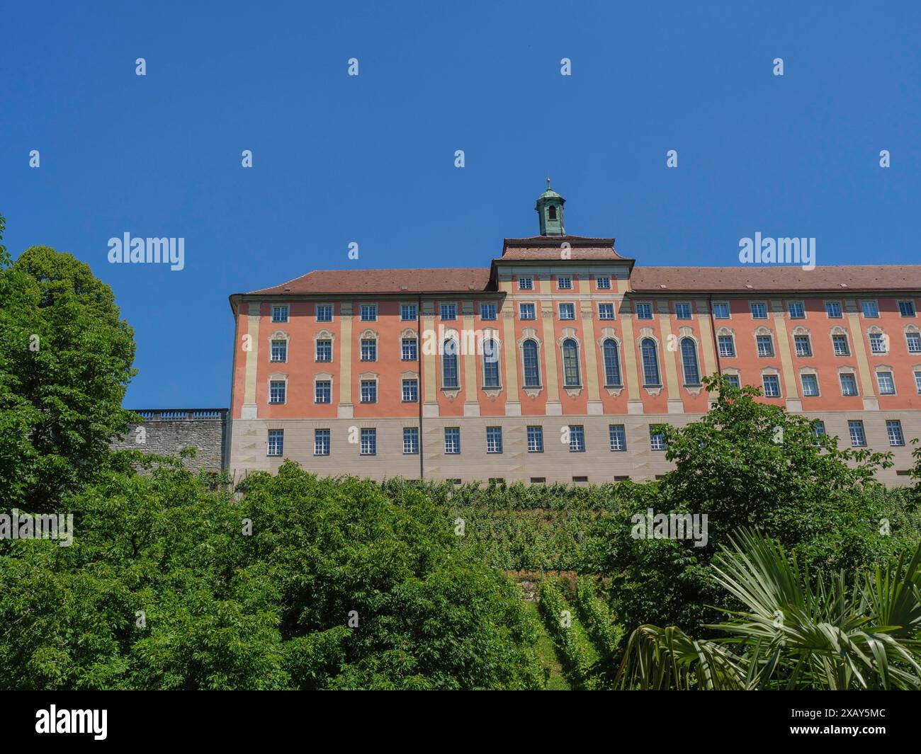 Grand bâtiment de château entouré d'une végétation verdoyante avec de nombreuses fenêtres et ciel bleu, Meersburg, Allemagne Banque D'Images Grand bâtiment de château entouré d'une végétation verdoyante avec de nombreuses fenêtres et ciel bleu, Meersburg, Allemagne Banque D'Images
