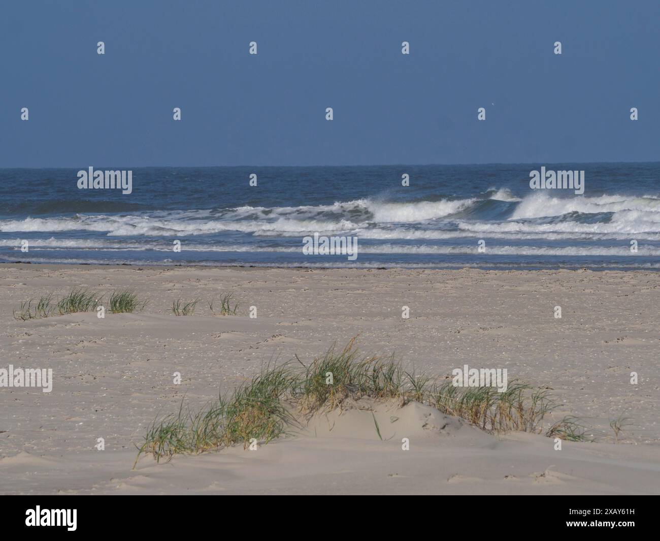 Plage calme avec des dunes et des collines de sable herbeux en face de la mer ondulante, Juist, Frise orientale, Allemagne Banque D'Images