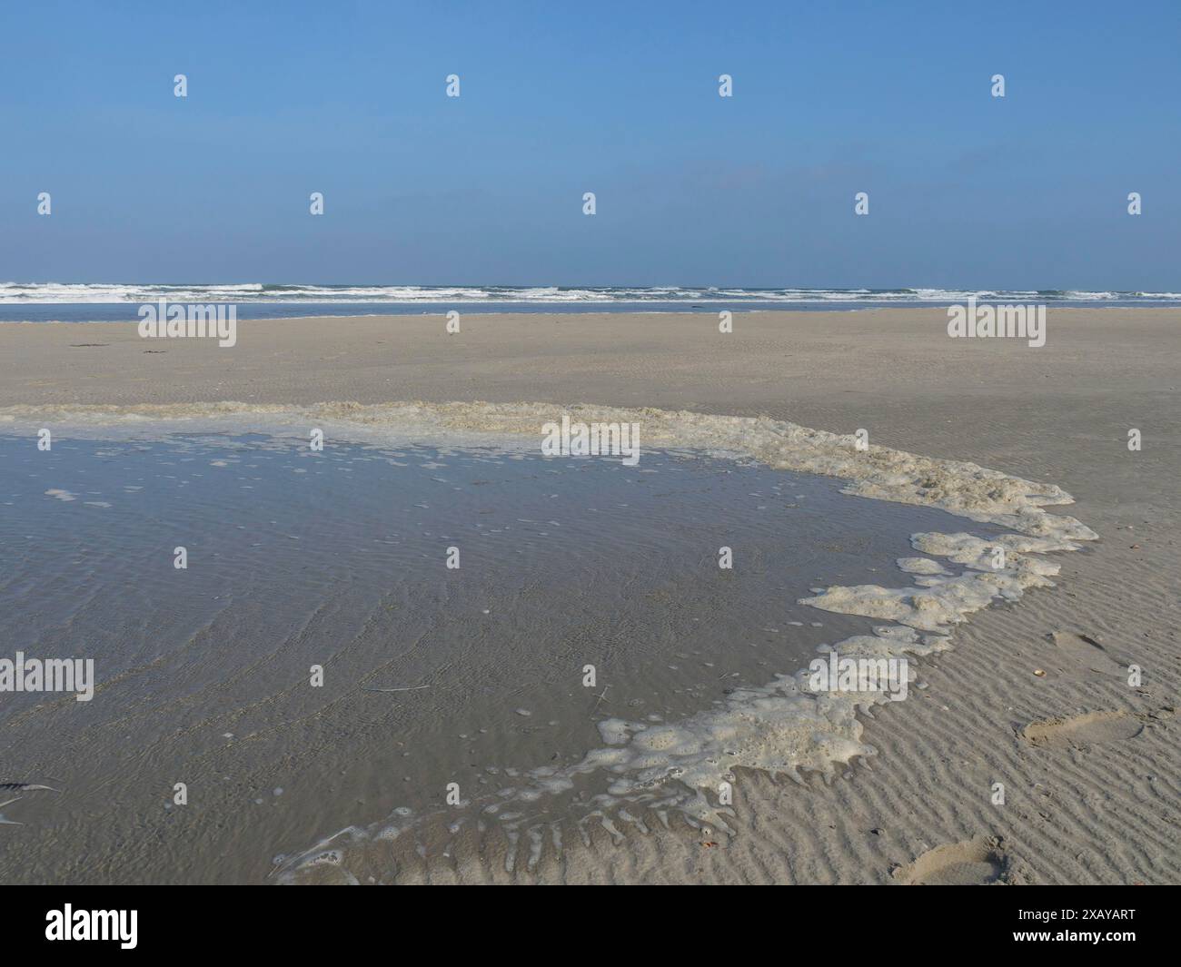 Un large rivage sablonneux avec des accumulations d'eau et la mer en arrière-plan, juist, frise orientale, allemagne Banque D'Images