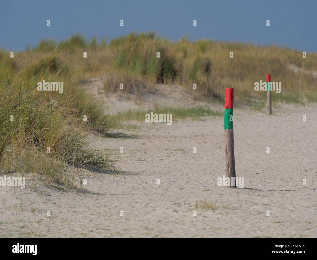 Les postes frontière marquent un chemin sablonneux à travers les dunes avec de l'herbe sous un ciel bleu, juist, frise orientale, allemagne Banque D'Images