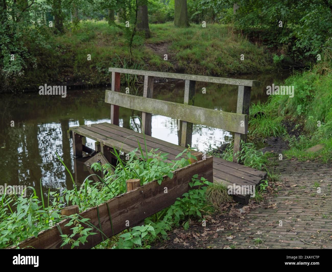 Un petit pont en bois traverse une rivière entourée d'une forêt dense et d'un chemin mousselé, haaksbergen. pays-bas Banque D'Images