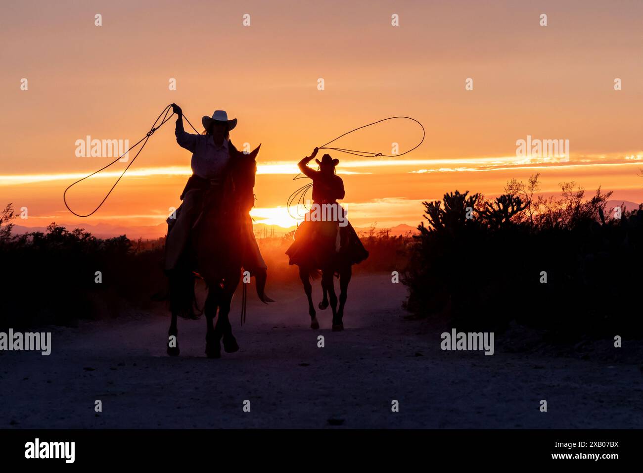 Mains de ranch féminines, ou cow-girls, monter des chevaux au coucher du soleil sur un ranch en Arizona, États-Unis. Les lariats oscillants. Banque D'Images