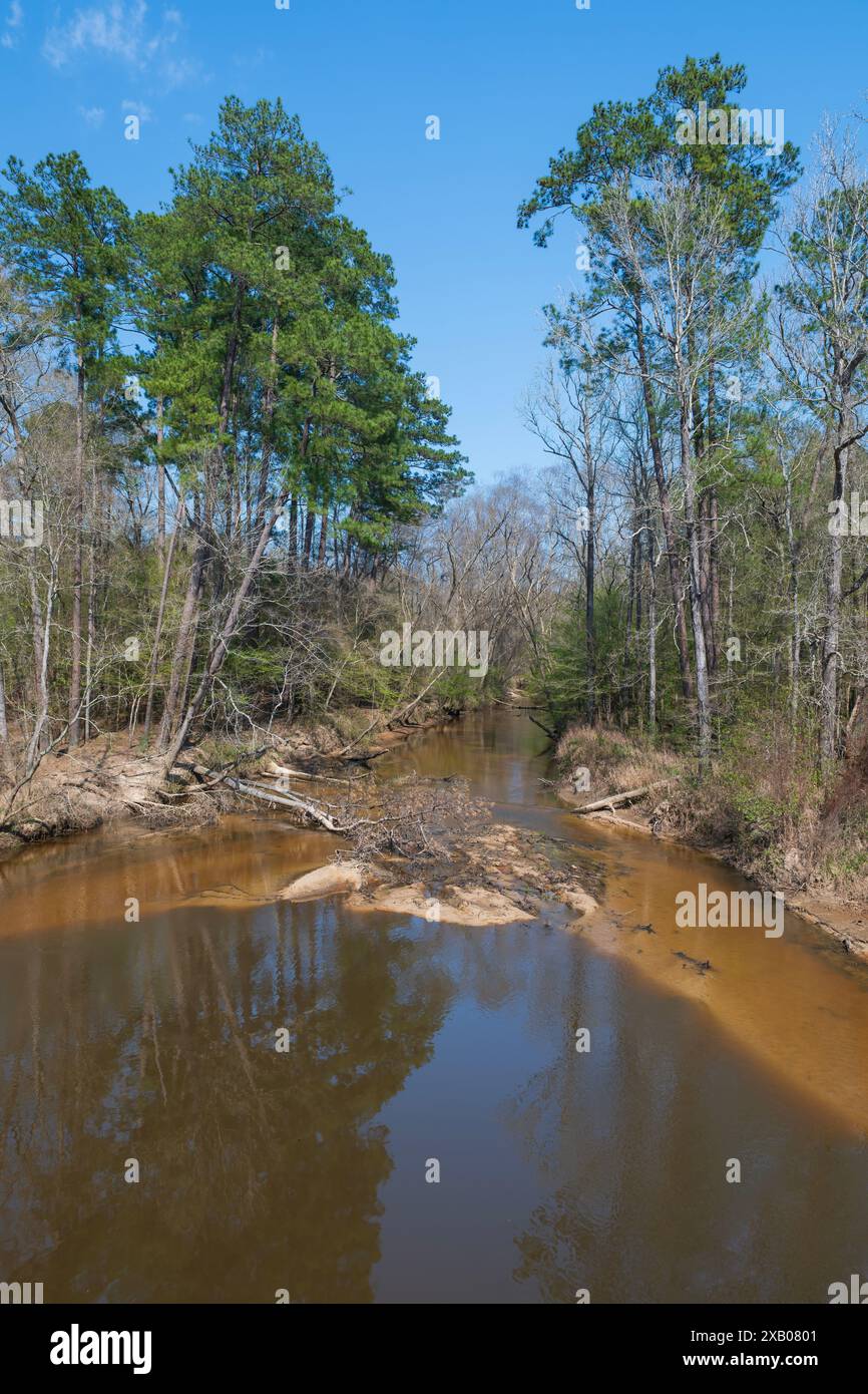 Ruisseau Turkey, boueux et lent, dans la forêt de Bottomland dans la réserve nationale Big Thicket au Texas Banque D'Images
