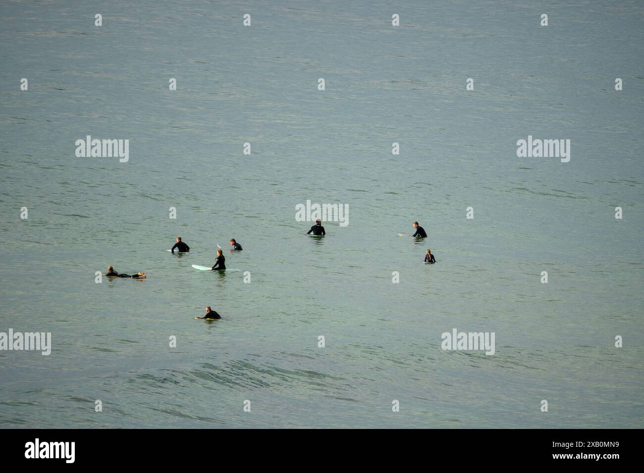 Surfeurs dans l'océan en attente des vagues Banque D'Images