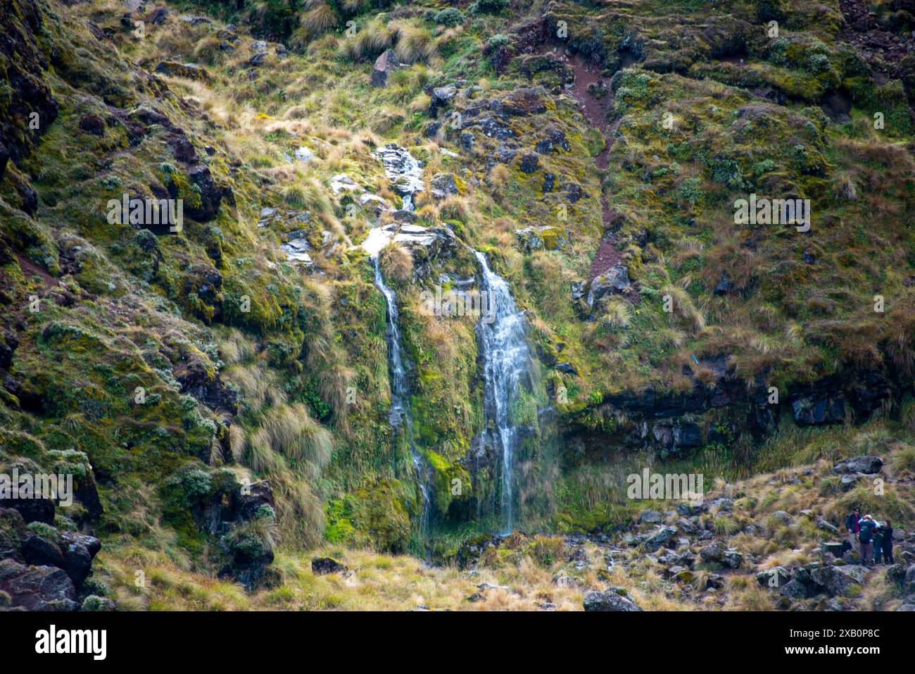 Soda Springs à Tongariro Alpine Crossing - Nouvelle-Zélande Banque D'Images