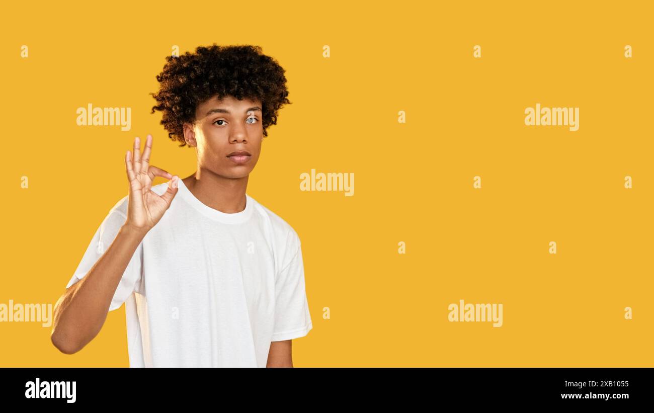Geste correct. Approbation positive. Gars confiant acceptant de soutenir le bon choix d'idée parfait isolé sur fond d'espace vide jaune. Banque D'Images