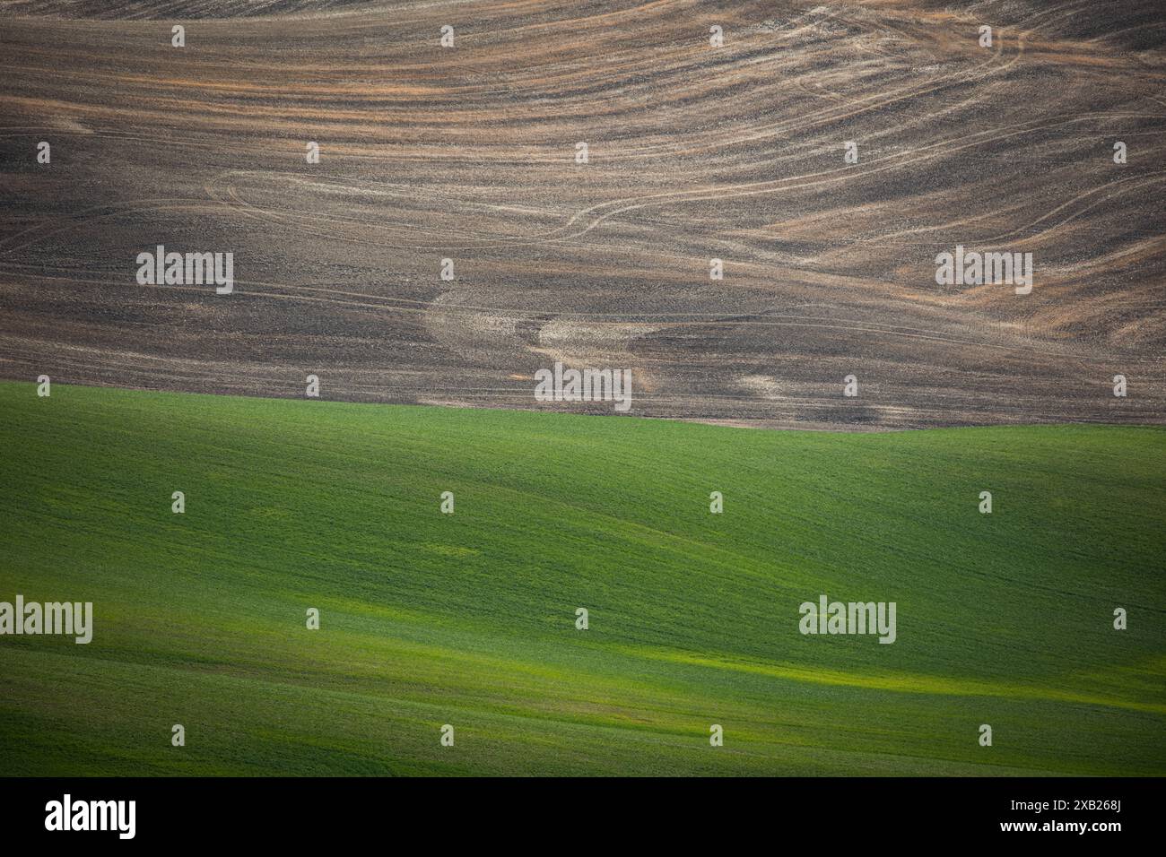Farm Land Art du comté de Whitman, Washington Banque D'Images