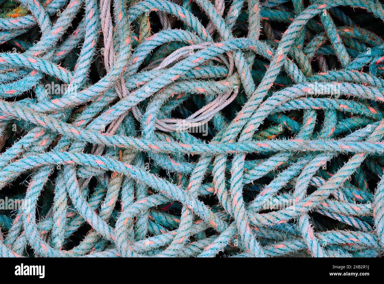 Un mélange chaotique de cordes en nylon fortes dans des tons de bleu et de vert, essentiel pour collecter des pots de crustacés dans un port de pêche. Banque D'Images