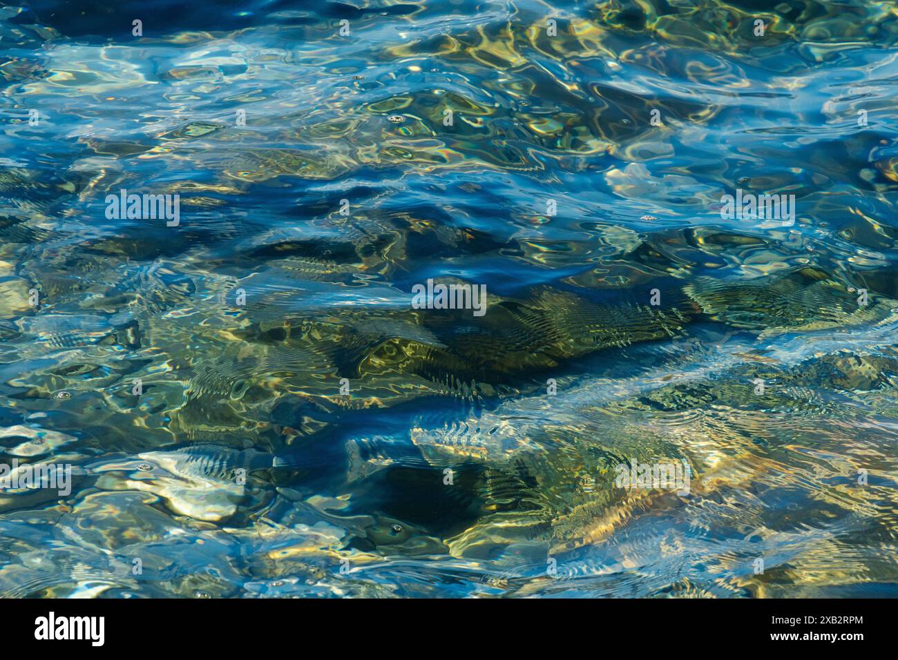 Une image sereine de la mer en gros plan, capturant sa surface chatoyante tandis que la lumière du soleil danse à travers les ondulations, créant des reflets rayonnants et complexes Banque D'Images