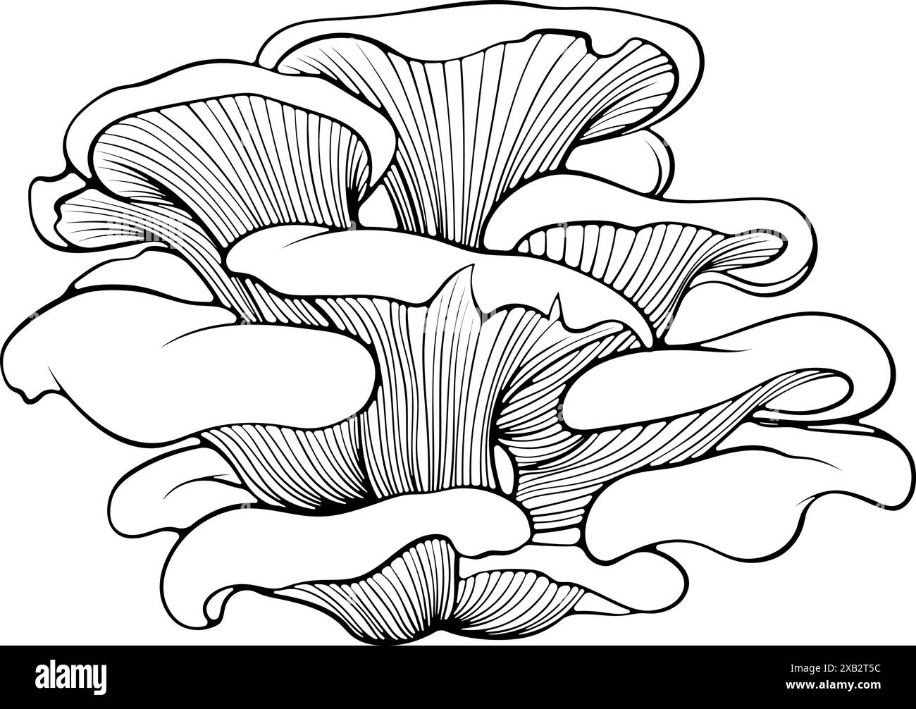 Art de la ligne de bouquet de champignons d'huître Illustration de Vecteur