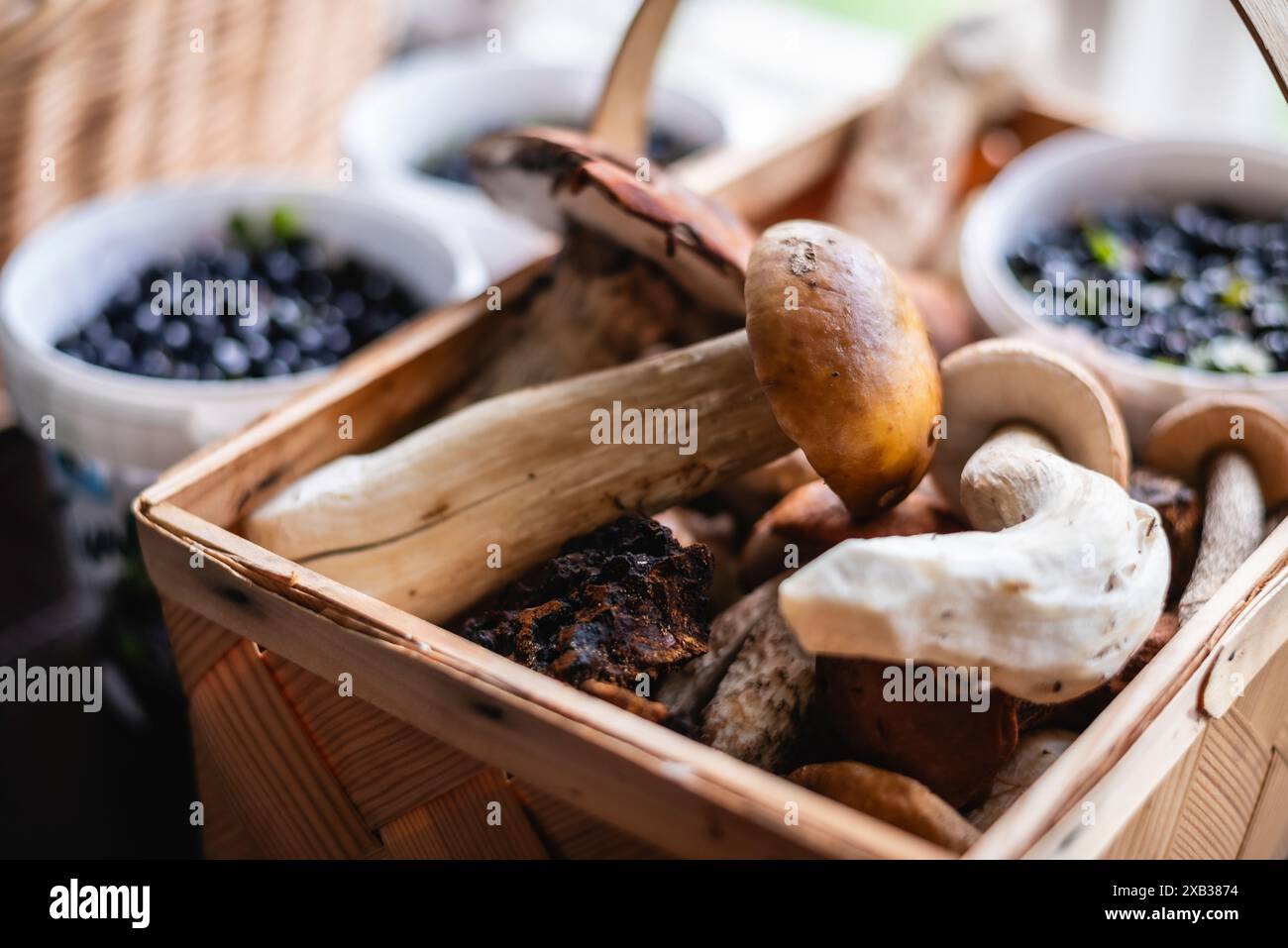 Champignons frais biologiques conservés dans un panier Banque D'Images
