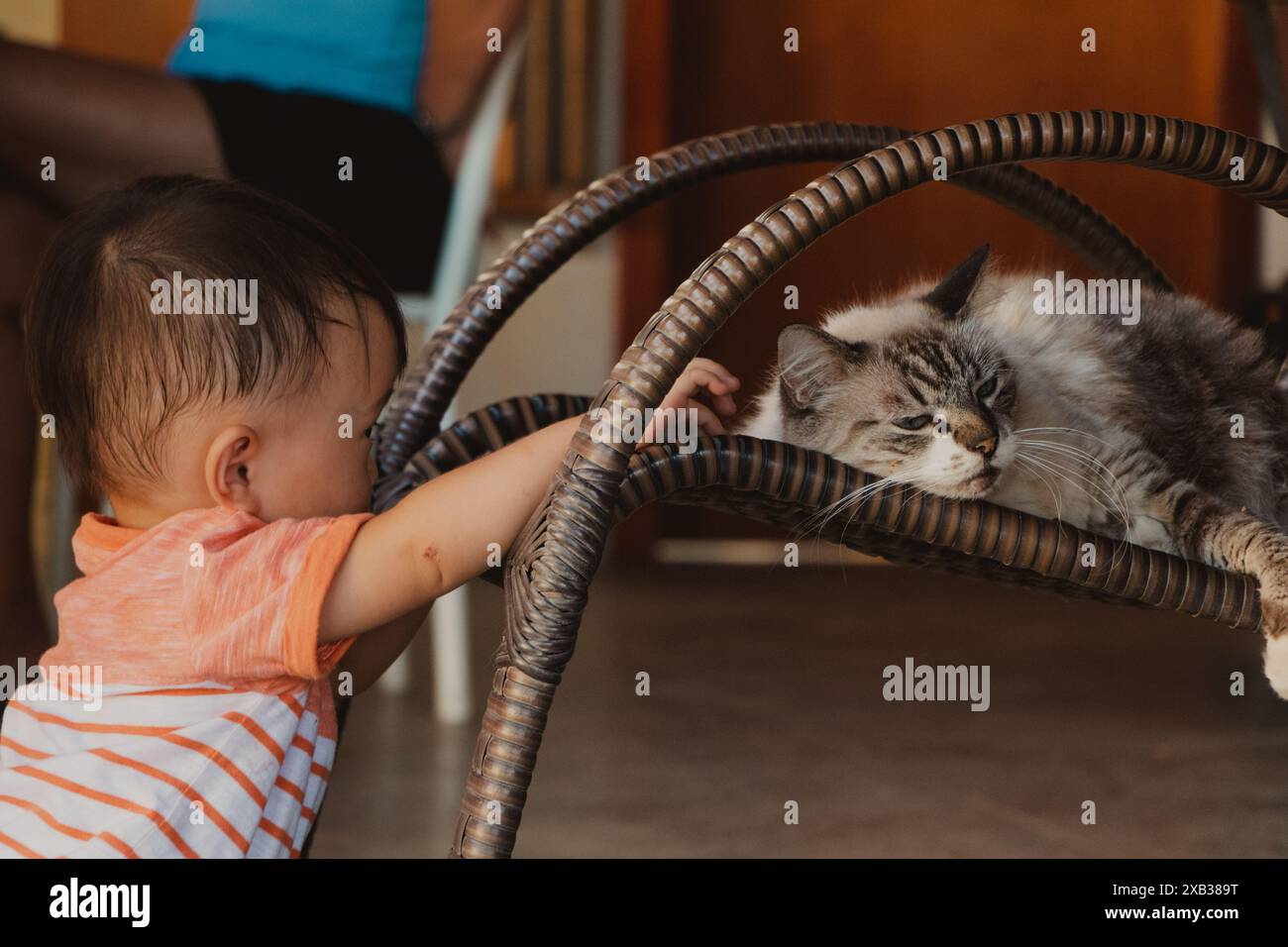 enfant jouant avec le chat sur la chaise Banque D'Images